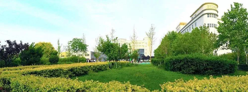 1637201579201796.jpeg 2.1.jpg