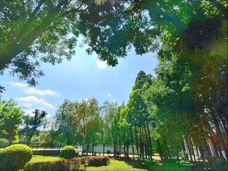 1637201592211114.jpeg 5.jpg