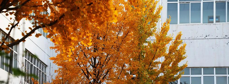 1637202218217616.jpeg 微信图片_20211118093957.jpg