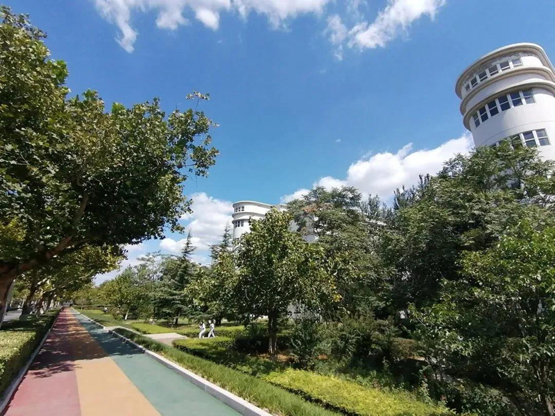 1637202236205669.jpeg 8.jpg